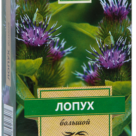 Камелия-ЛТ корень Лопух большой 50 г