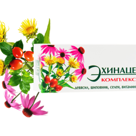 Эхинацея Биокор комплекс (эхинацея+шиповник+девясил+селен+витамин С+витамин Е), 40 шт.