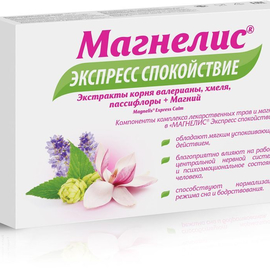 Магнелис Экспресс таблетки 20 шт