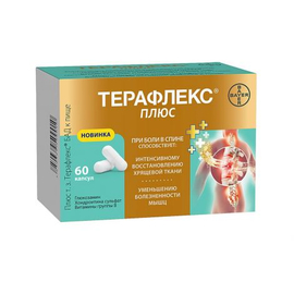 Терафлекс плюс кас N60