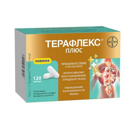 Терафлекс плюс кас N120